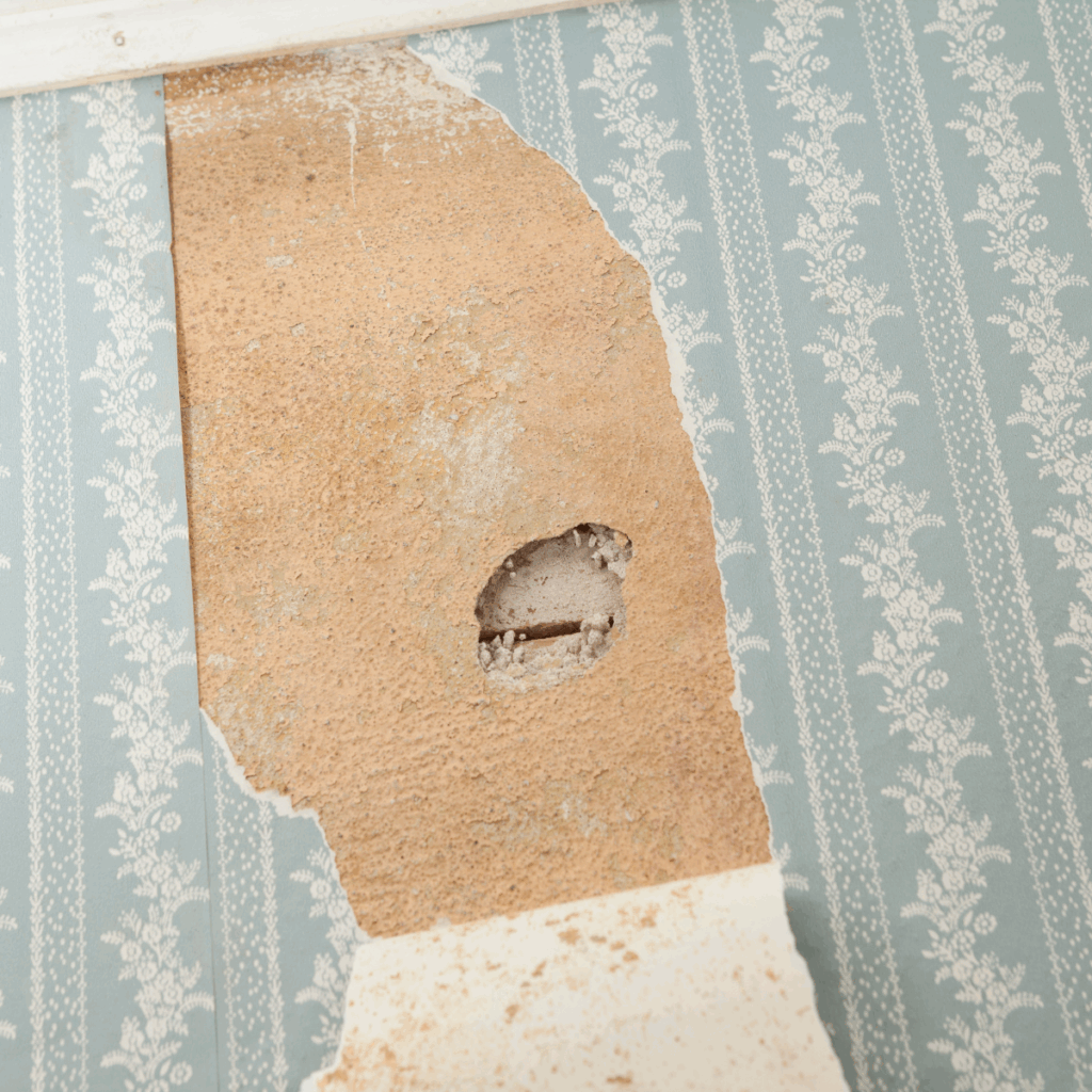 Renovations and Asbestos Westcross Environmental Services