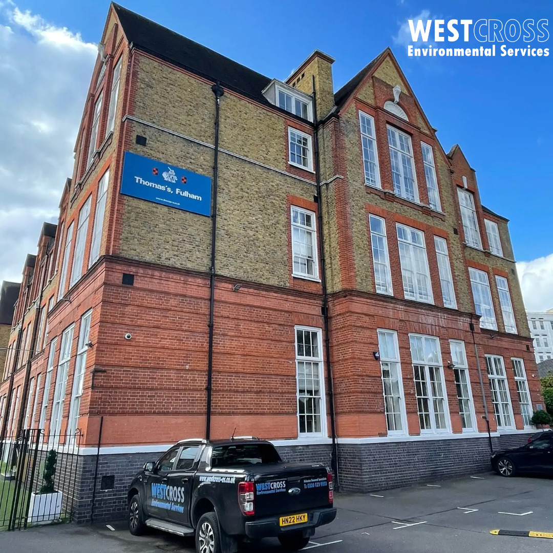 Asbestos in Schools: Why It’s Still a Concern Today Westcross Environmental Services UK