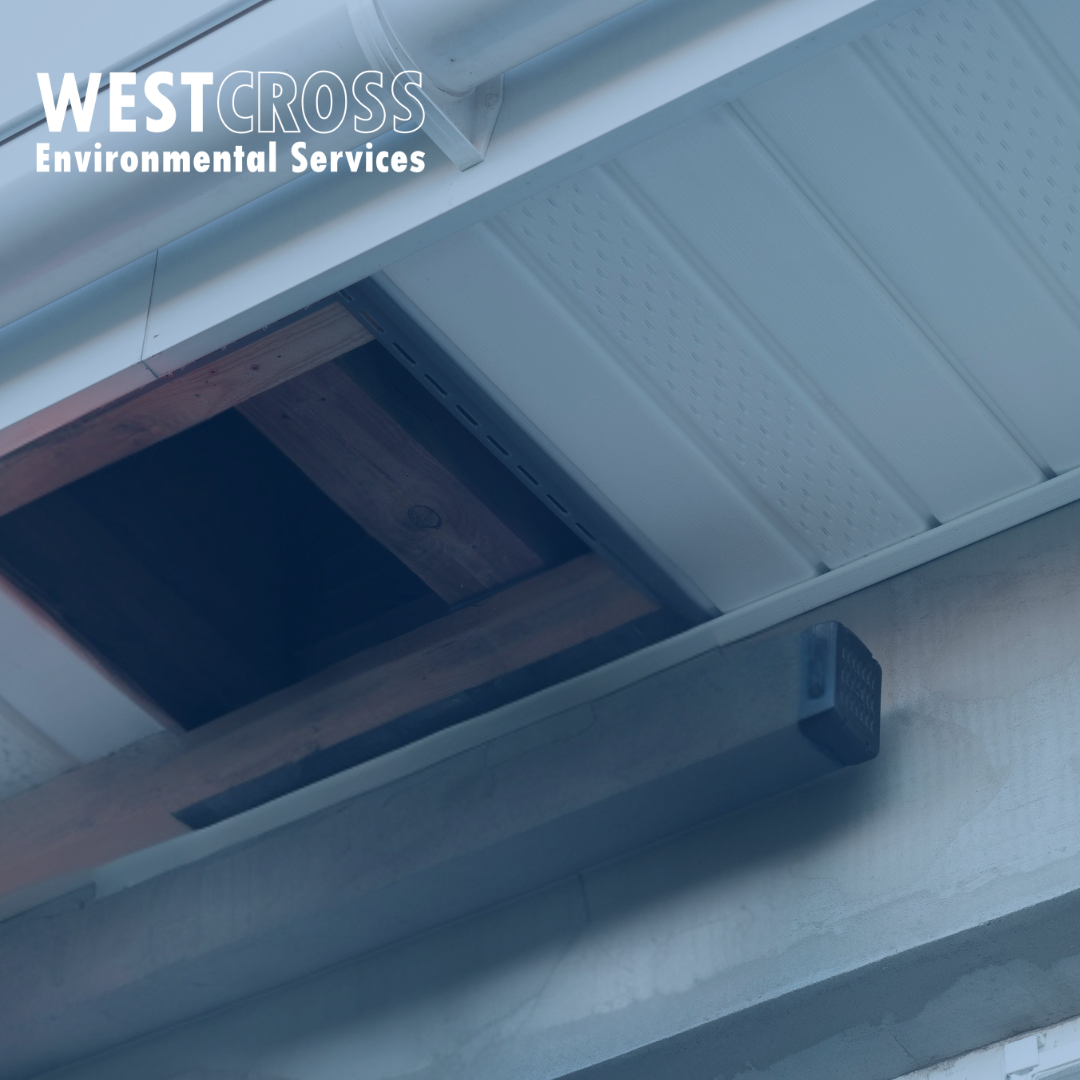 Asbestos in Soffits Fascias & Rooflines: The Hidden Risk Around Your Home